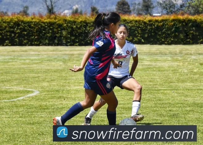 PG官方版网站入口APP 封面图